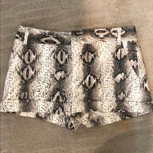 Snake print shorts